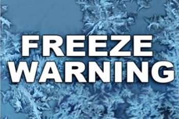 Freeze Warning until 10 am 8