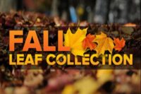 leaf-collection1
