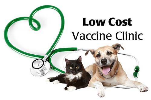 10/3: Rabies, Distemper/Parvo Vaccine Clinic 2