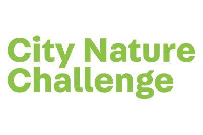 City Nature Challenge 2021 7