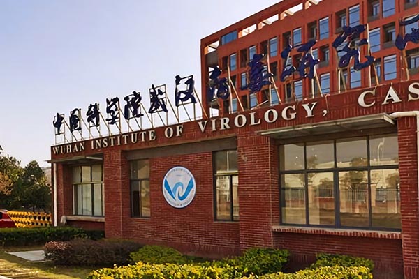 Google, EcoHealth Alliance, and the Wuhan Institute of Virology 4