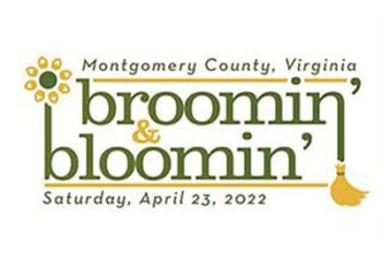 broomin-bloomin