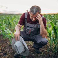 farmer-stress