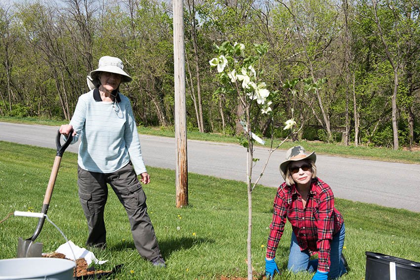 Earth Day Tree Planting at Glencoe Mansion 2