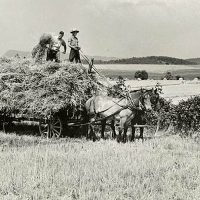 haywagon