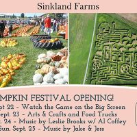 sinkland1
