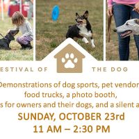 festival-of-the-dog