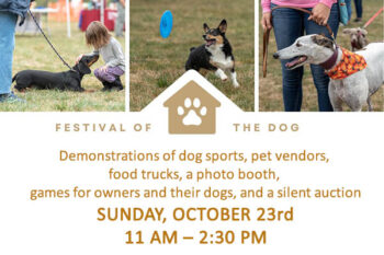 festival-of-the-dog