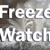 freeze-watch