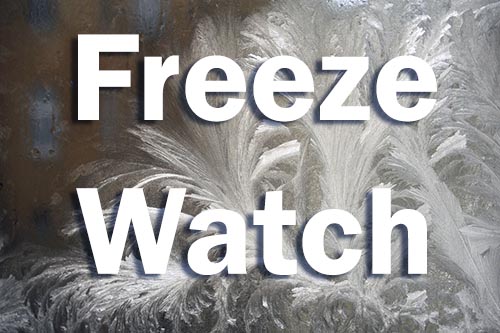 Freeze Watch in Effect for Saturday Night 24