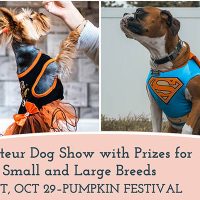 post-week6-Sat-DogShow