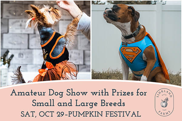 10/29: Amateur Dog Show Costume Contest 4