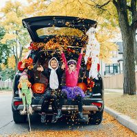 trunkortreaters
