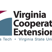 VCE