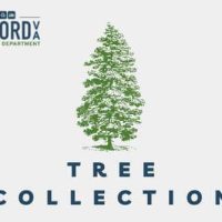 radford-tree-collection