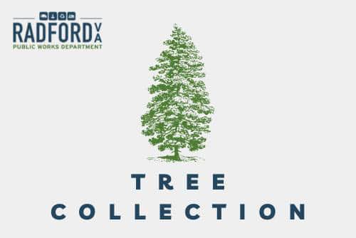 Radford Christmas Tree Collection 2