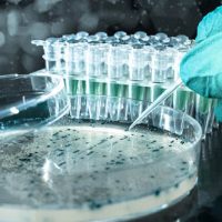 biotech