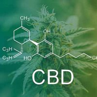 4738885 CBD Chemical Formula, marijuana cbd thc. Concepts of leg
