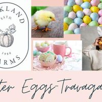 eggs-travaganza