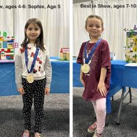 Lego best in show