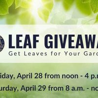 leaf-giveaway