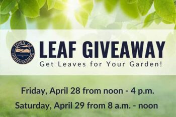 leaf-giveaway