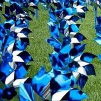 pinwheel-garden