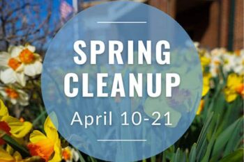 spring-cleanup