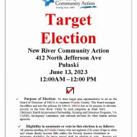 Target Election Pulaski