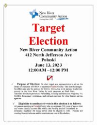 Target Election Pulaski