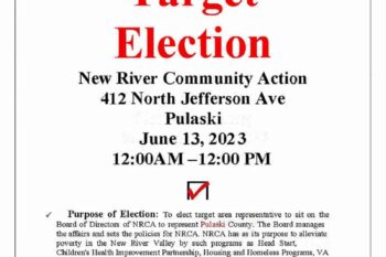 Target Election Pulaski