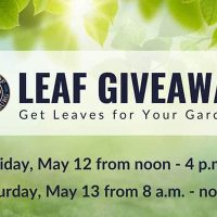 leaf-giveaway-cburg