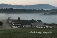 beliveau-farms
