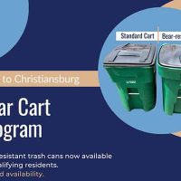bear-cart-program