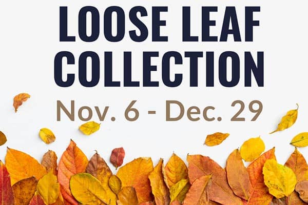 Loose Leaf Collection Days 4