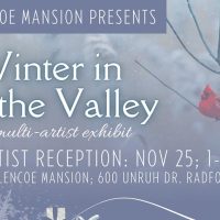 winter in the valley