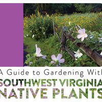 native-plant-guide