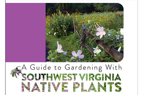 Southwest Virginia Native Plants Guide 4