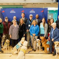 service-dogs
