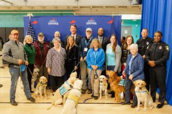 service-dogs