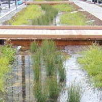 stormwater-runoff
