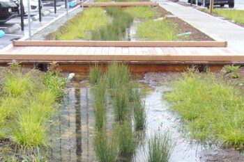 stormwater-runoff