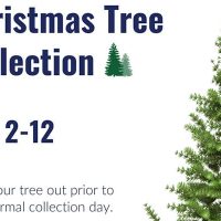 xmas-tree