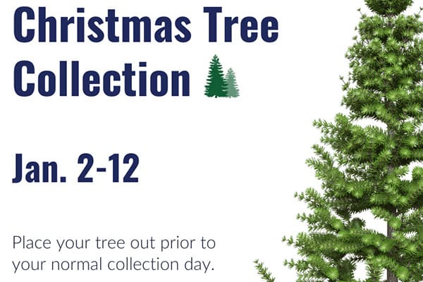Christiansburg Christmas Tree Collection 4