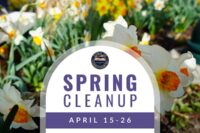 spring-cleanup-2024