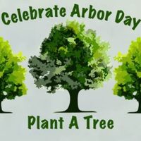 arbor-day