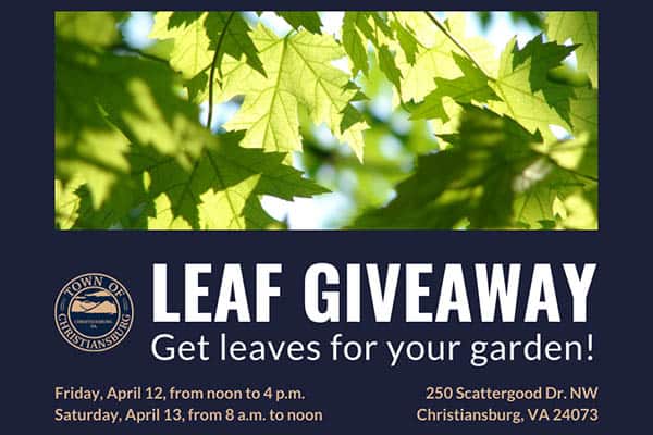 4/12-13: Leaf Giveaway 4