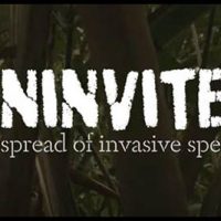 uninvited