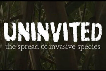 uninvited