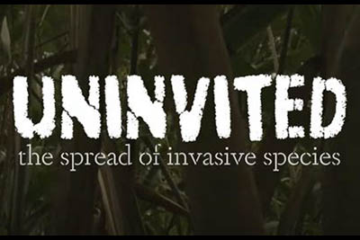 4/20: Uninvited: The Spread of Invasive Species 4